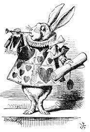 Rabbit Alice in wonderland rabbit